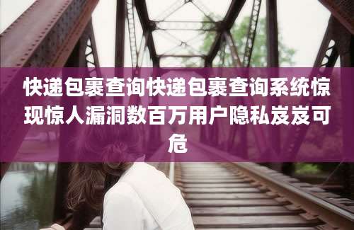 快递包裹查询快递包裹查询系统惊现惊人漏洞数百万用户隐私岌岌可危
