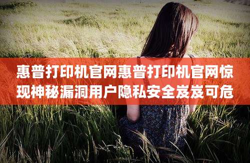 惠普打印机官网惠普打印机官网惊现神秘漏洞用户隐私安全岌岌可危