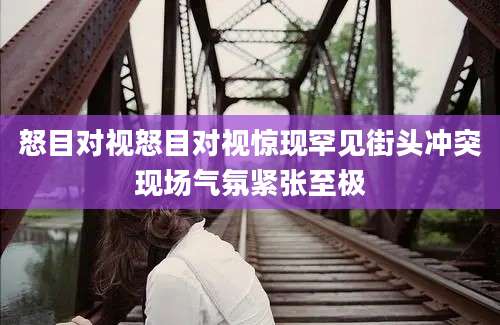 怒目对视怒目对视惊现罕见街头冲突现场气氛紧张至极