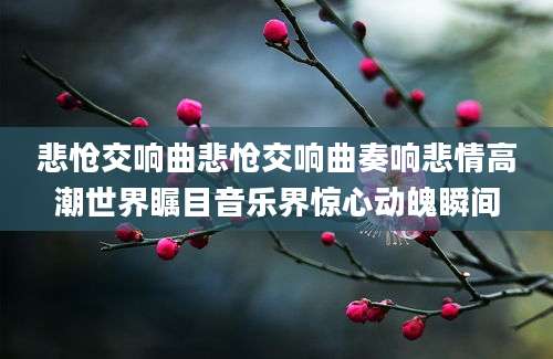 悲怆交响曲悲怆交响曲奏响悲情高潮世界瞩目音乐界惊心动魄瞬间