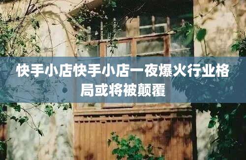 快手小店快手小店一夜爆火行业格局或将被颠覆