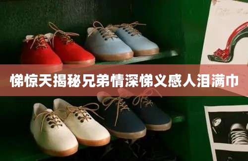 悌惊天揭秘兄弟情深悌义感人泪满巾