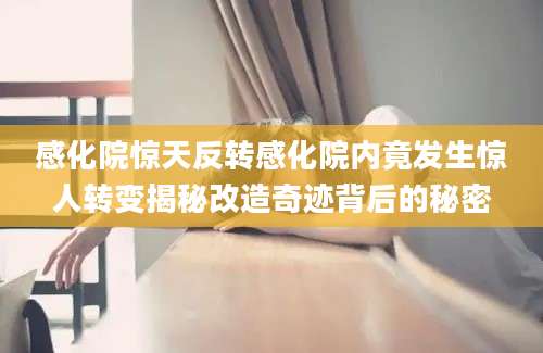 感化院惊天反转感化院内竟发生惊人转变揭秘改造奇迹背后的秘密