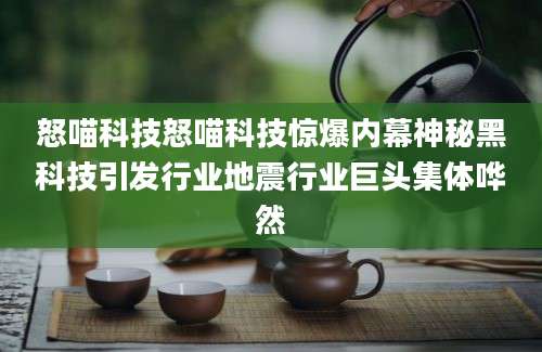 怒喵科技怒喵科技惊爆内幕神秘黑科技引发行业地震行业巨头集体哗然