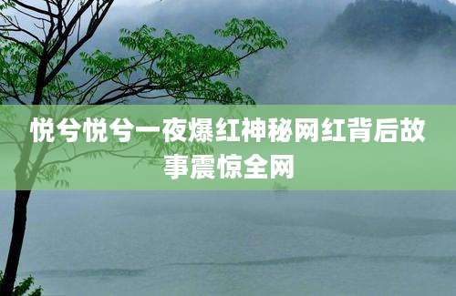 悦兮悦兮一夜爆红神秘网红背后故事震惊全网