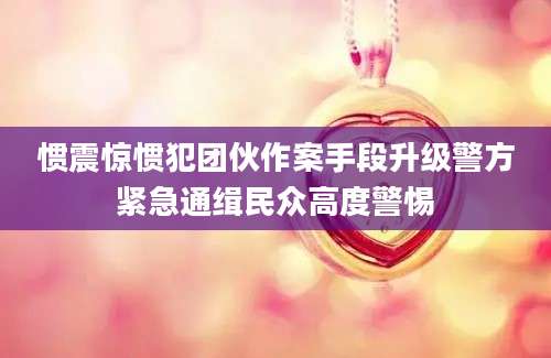 惯震惊惯犯团伙作案手段升级警方紧急通缉民众高度警惕