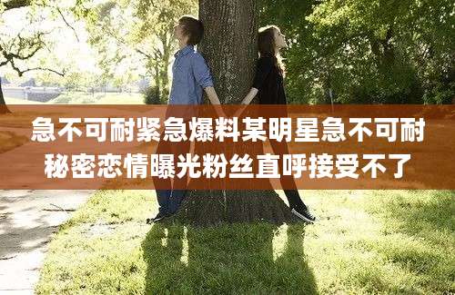 急不可耐紧急爆料某明星急不可耐秘密恋情曝光粉丝直呼接受不了