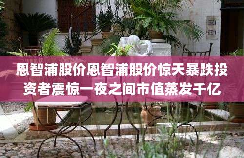 恩智浦股价恩智浦股价惊天暴跌投资者震惊一夜之间市值蒸发千亿