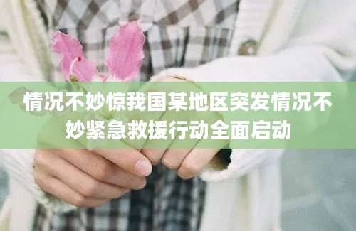 情况不妙惊我国某地区突发情况不妙紧急救援行动全面启动