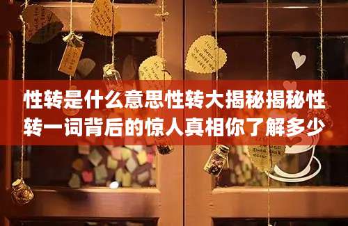 性转是什么意思性转大揭秘揭秘性转一词背后的惊人真相你了解多少