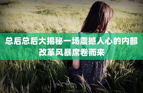 总后总后大揭秘一场震撼人心的内部改革风暴席卷而来