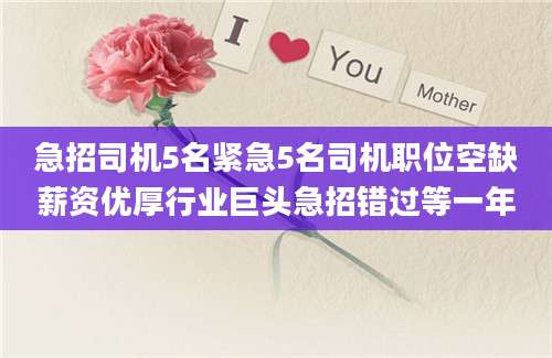 急招司机5名紧急5名司机职位空缺薪资优厚行业巨头急招错过等一年