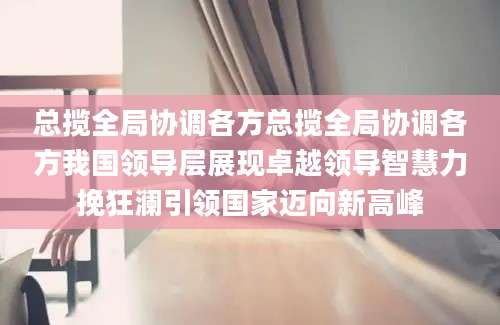 总揽全局协调各方总揽全局协调各方我国领导层展现卓越领导智慧力挽狂澜引领国家迈向新高峰