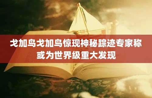 戈加鸟戈加鸟惊现神秘踪迹专家称或为世界级重大发现