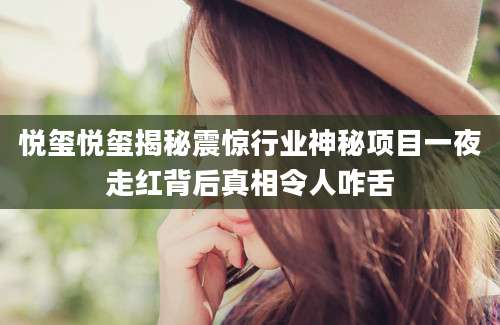 悦玺悦玺揭秘震惊行业神秘项目一夜走红背后真相令人咋舌