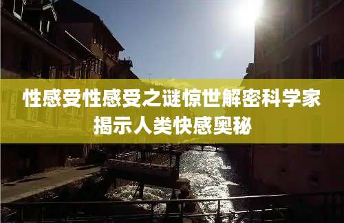 性感受性感受之谜惊世解密科学家揭示人类快感奥秘