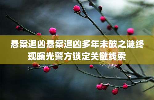 悬案追凶悬案追凶多年未破之谜终现曙光警方锁定关键线索