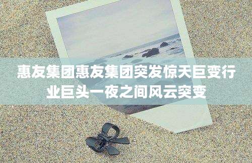 惠友集团惠友集团突发惊天巨变行业巨头一夜之间风云突变