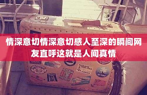 情深意切情深意切感人至深的瞬间网友直呼这就是人间真情