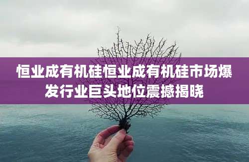 恒业成有机硅恒业成有机硅市场爆发行业巨头地位震撼揭晓