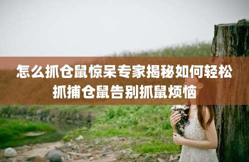 怎么抓仓鼠惊呆专家揭秘如何轻松抓捕仓鼠告别抓鼠烦恼
