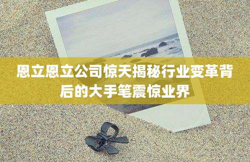 恩立恩立公司惊天揭秘行业变革背后的大手笔震惊业界