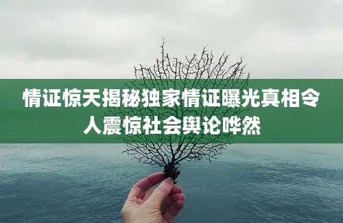情证惊天揭秘独家情证曝光真相令人震惊社会舆论哗然