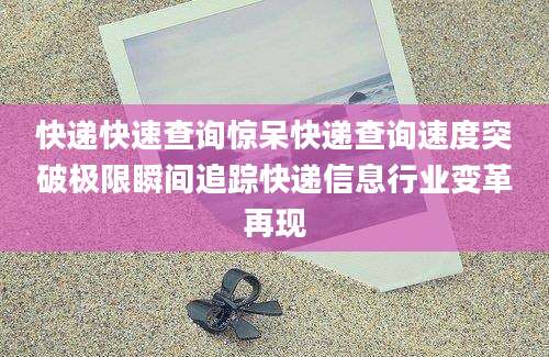 快递快速查询惊呆快递查询速度突破极限瞬间追踪快递信息行业变革再现