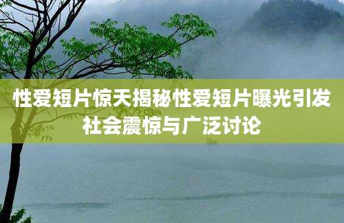 性爱短片惊天揭秘性爱短片曝光引发社会震惊与广泛讨论