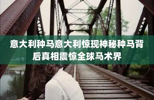 意大利种马意大利惊现神秘种马背后真相震惊全球马术界