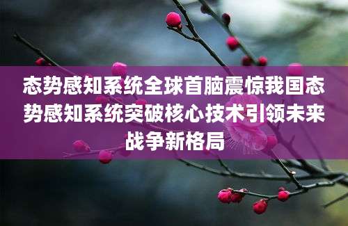 态势感知系统全球首脑震惊我国态势感知系统突破核心技术引领未来战争新格局