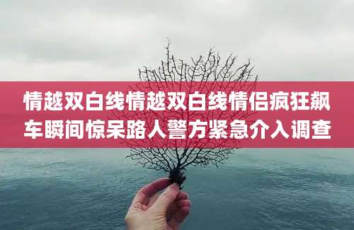 情越双白线情越双白线情侣疯狂飙车瞬间惊呆路人警方紧急介入调查