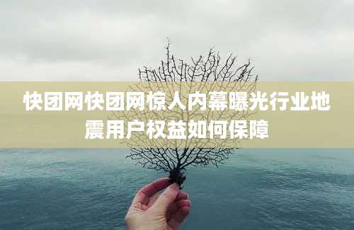 快团网快团网惊人内幕曝光行业地震用户权益如何保障