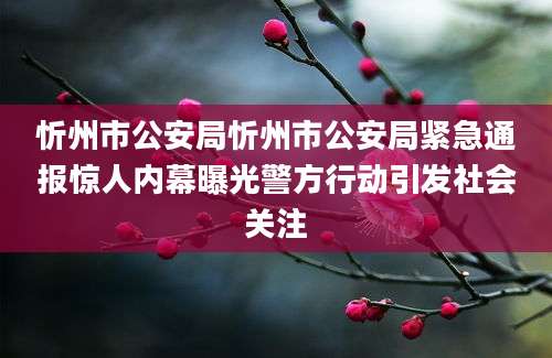 忻州市公安局忻州市公安局紧急通报惊人内幕曝光警方行动引发社会关注