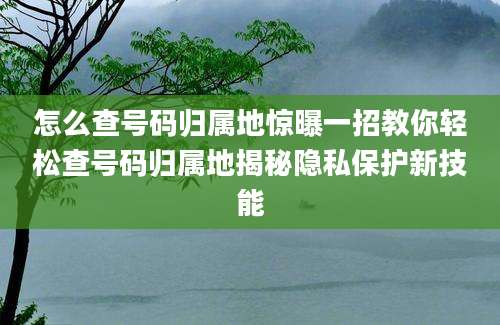 怎么查号码归属地惊曝一招教你轻松查号码归属地揭秘隐私保护新技能
