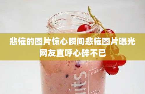 悲催的图片惊心瞬间悲催图片曝光网友直呼心碎不已