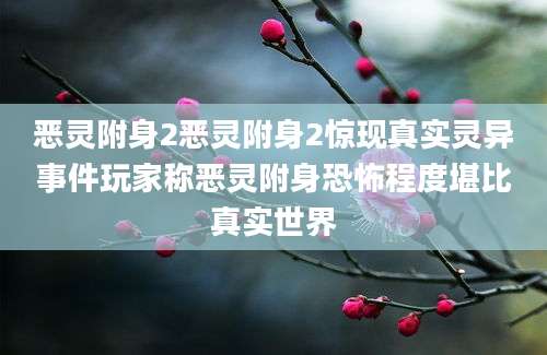 恶灵附身2恶灵附身2惊现真实灵异事件玩家称恶灵附身恐怖程度堪比真实世界