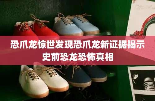 恐爪龙惊世发现恐爪龙新证据揭示史前恐龙恐怖真相