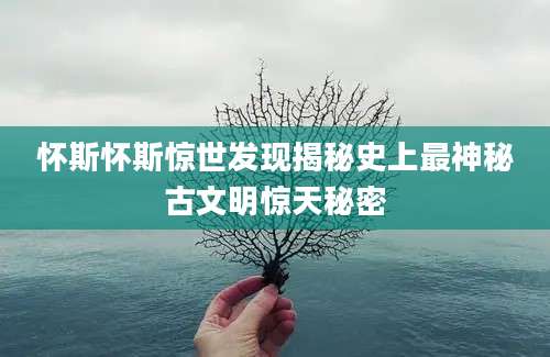 怀斯怀斯惊世发现揭秘史上最神秘古文明惊天秘密