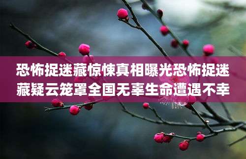 恐怖捉迷藏惊悚真相曝光恐怖捉迷藏疑云笼罩全国无辜生命遭遇不幸