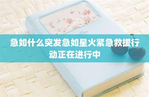 急如什么突发急如星火紧急救援行动正在进行中