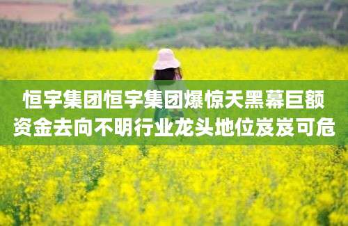 恒宇集团恒宇集团爆惊天黑幕巨额资金去向不明行业龙头地位岌岌可危