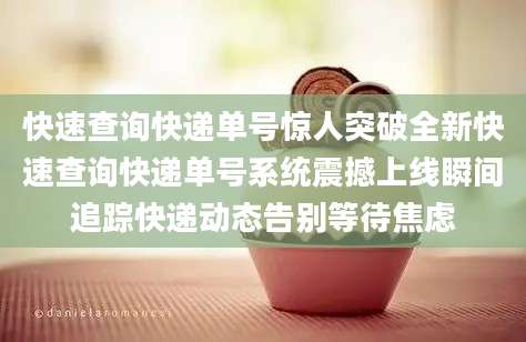 快速查询快递单号惊人突破全新快速查询快递单号系统震撼上线瞬间追踪快递动态告别等待焦虑