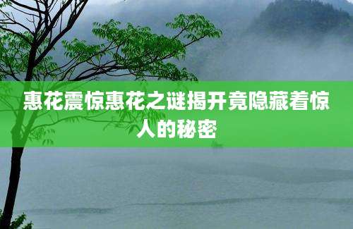 惠花震惊惠花之谜揭开竟隐藏着惊人的秘密
