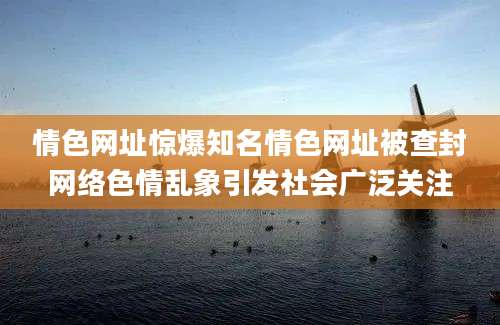 情色网址惊爆知名情色网址被查封网络色情乱象引发社会广泛关注