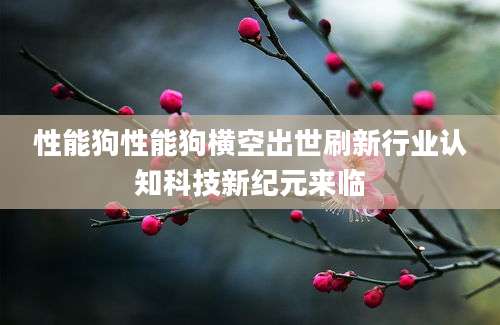 性能狗性能狗横空出世刷新行业认知科技新纪元来临