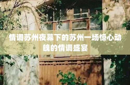 情调苏州夜幕下的苏州一场惊心动魄的情调盛宴