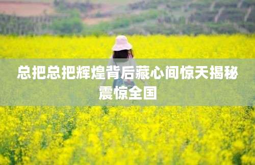 总把总把辉煌背后藏心间惊天揭秘震惊全国