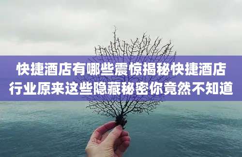 快捷酒店有哪些震惊揭秘快捷酒店行业原来这些隐藏秘密你竟然不知道