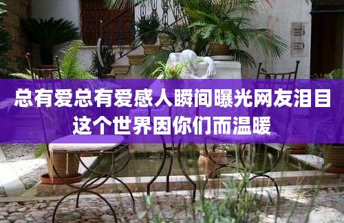 总有爱总有爱感人瞬间曝光网友泪目这个世界因你们而温暖